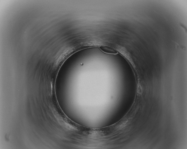 X0000103240109200809041055