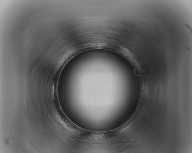 X0000103240110200809041055