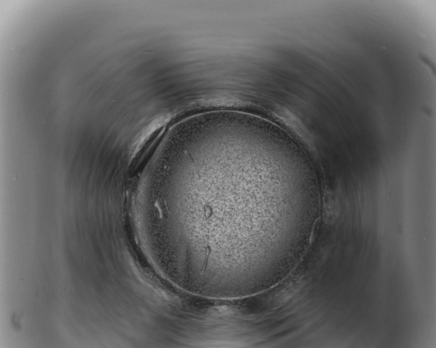 X0000103240111200809041055