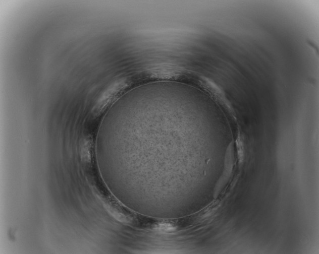 X0000103240114200809041055