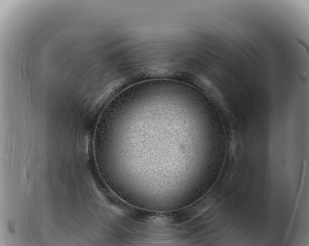 X0000103240115200809041055