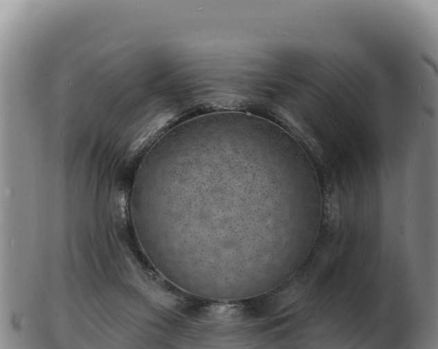 X0000103240117200809041055