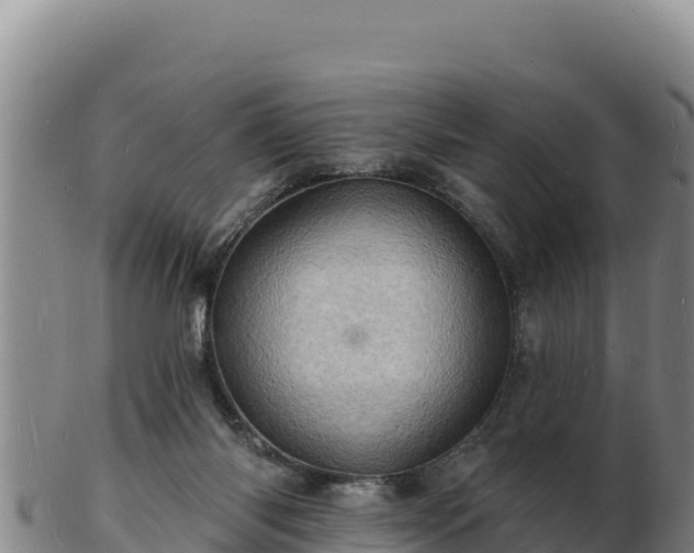 X0000103240118200809041055