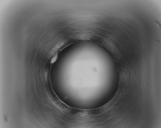 X0000103240120200809041055