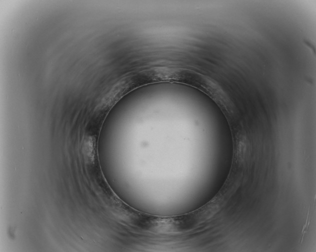 X0000103240121200809041055