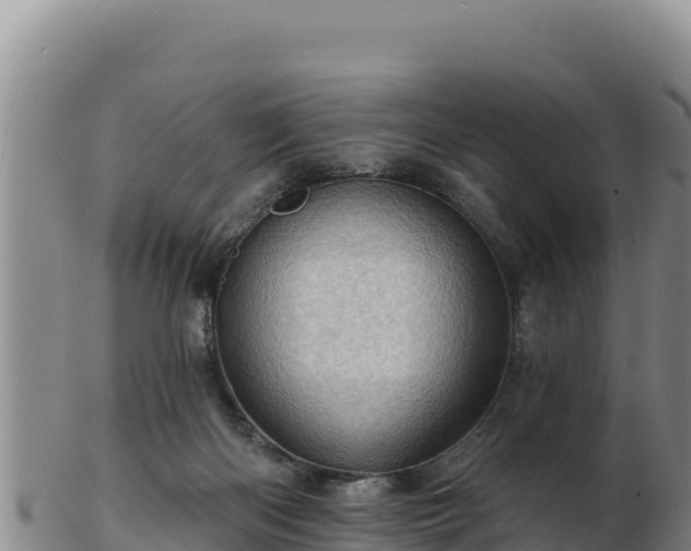 X0000103240122200809041055