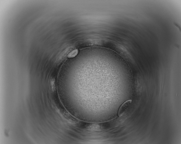 X0000103240123200809041055