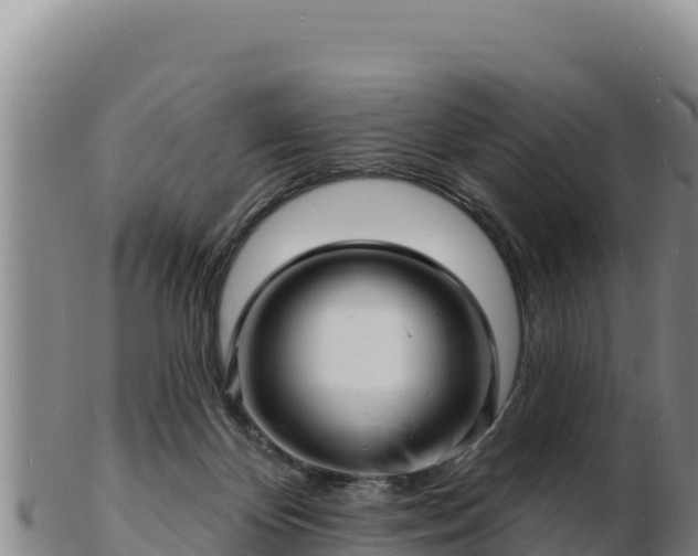 X0000103240124200809041055