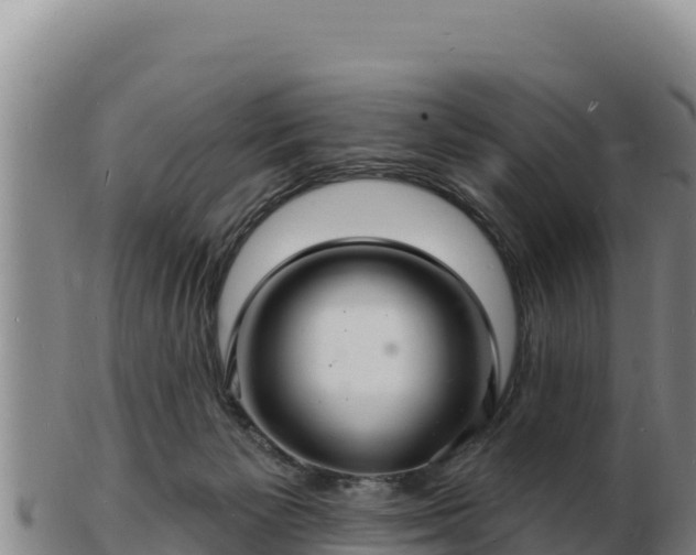 X0000103240125200809041055