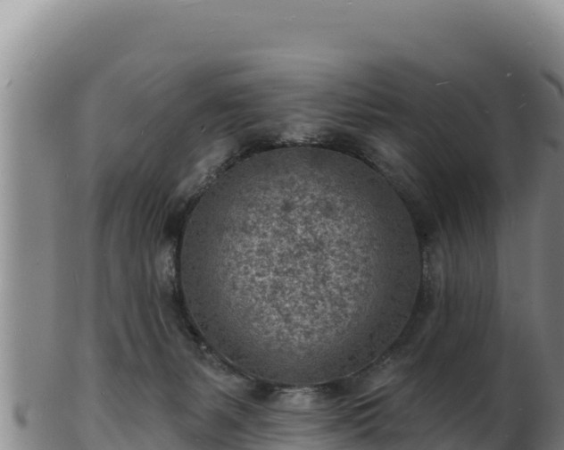 X0000103240127200809041055