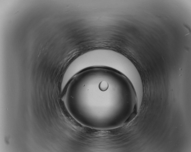 X0000103240128200809041055