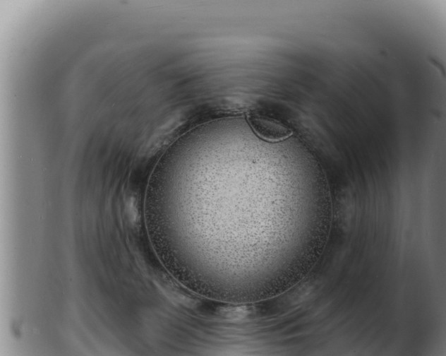 X0000103240131200809041055