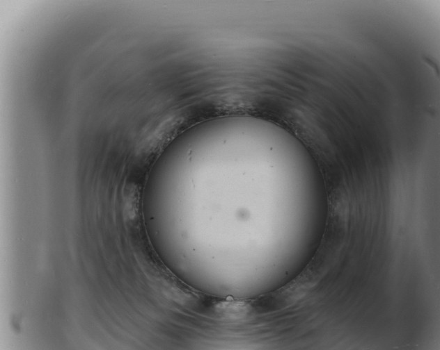 X0000103240133200809041055