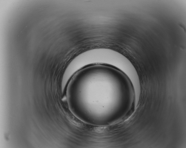 X0000103240136200809041055