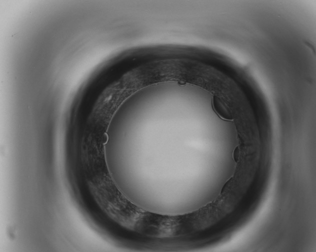 X0000103240143200809041055