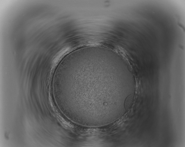 X0000103240145200809041054