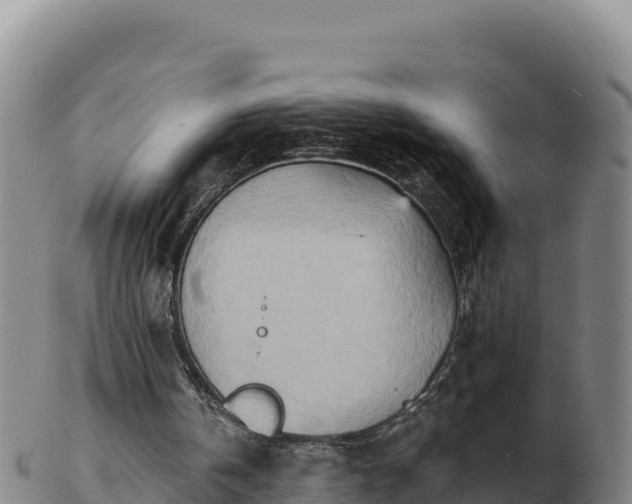 X0000103240146200809041054