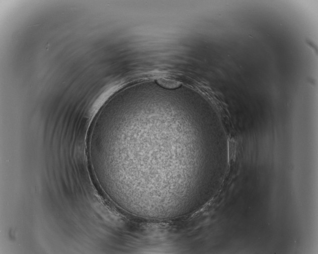 X0000103240147200809041054