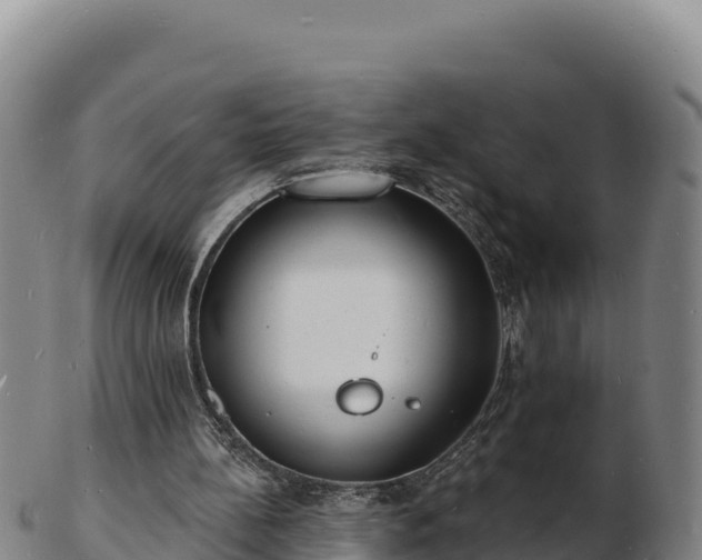 X0000103240148200809041054