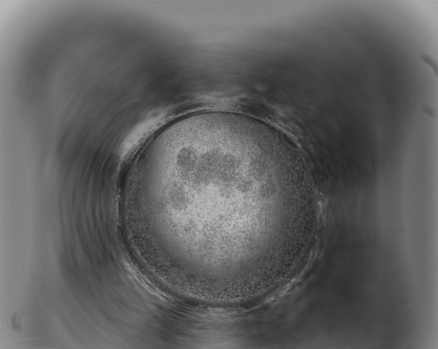 X0000103240149200809041054