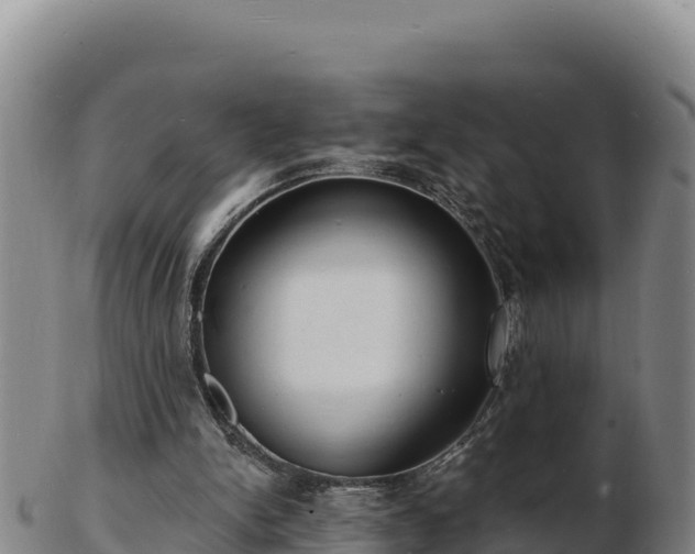 X0000103240150200809041054