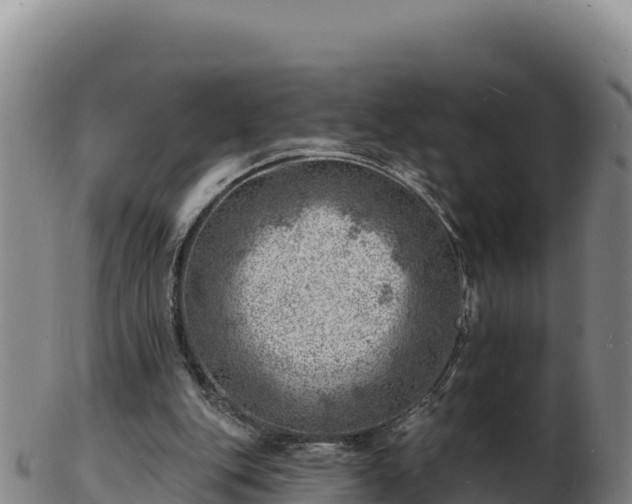 X0000103240151200809041054