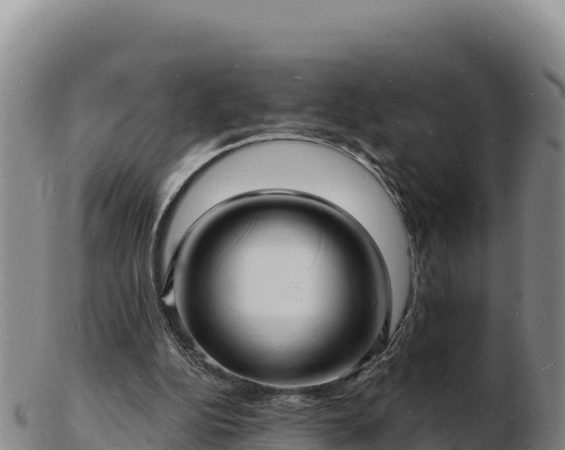 X0000103240152200809041054