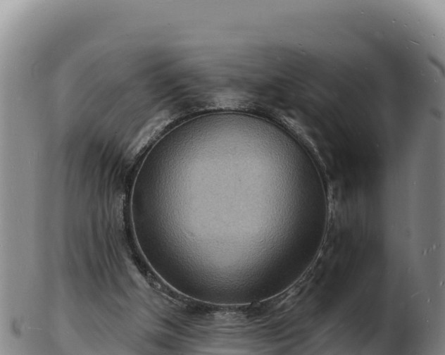 X0000103240154200809041054