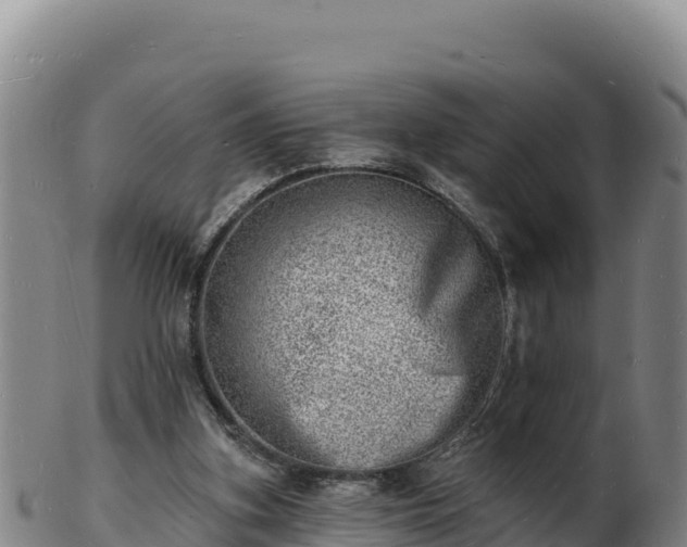 X0000103240155200809041054