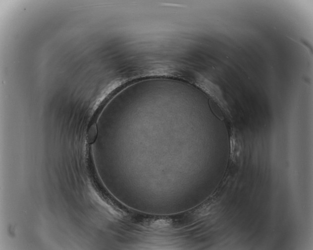 X0000103240156200809041055