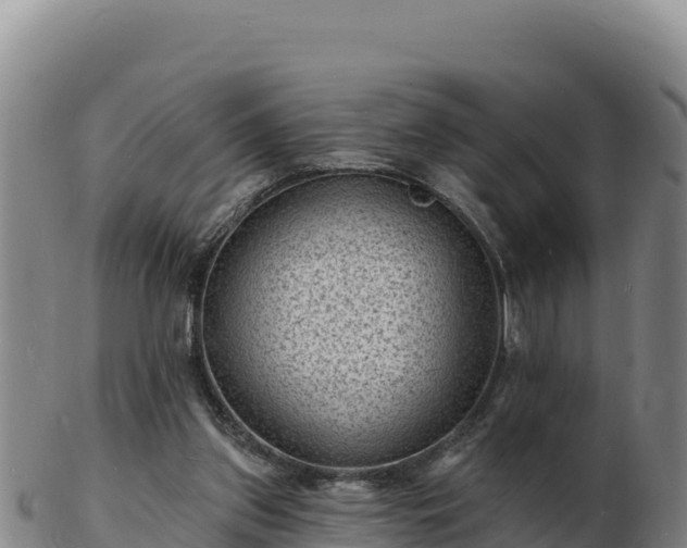 X0000103240157200809041055