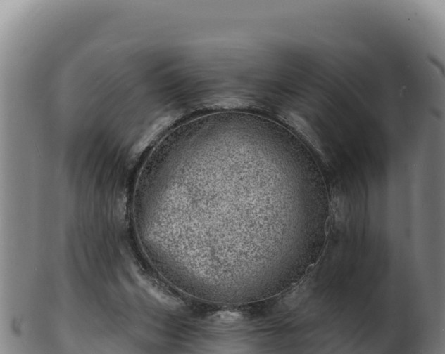 X0000103240159200809041055