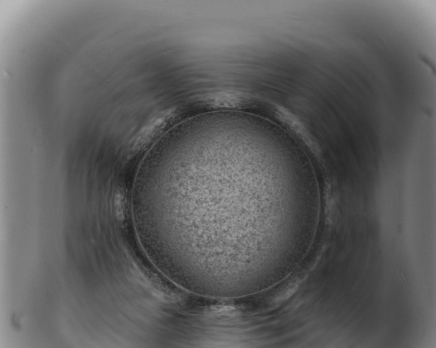 X0000103240161200809041055