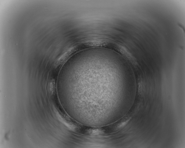 X0000103240165200809041055