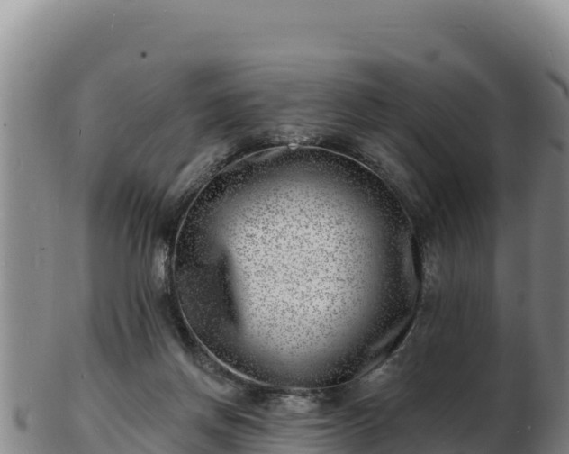 X0000103240166200809041055