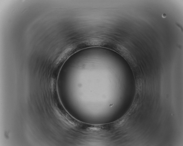 X0000103240167200809041055