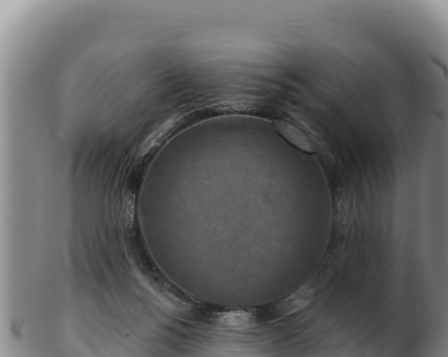 X0000103240168200809041055