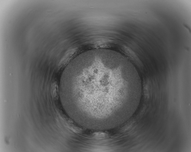 X0000103240169200809041055