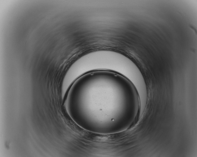 X0000103240170200809041055