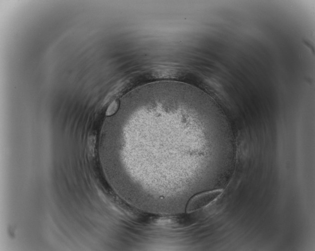 X0000103240171200809041055