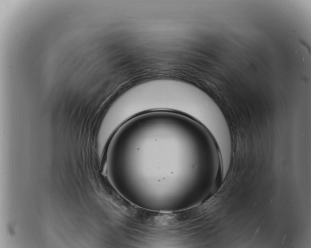 X0000103240172200809041055