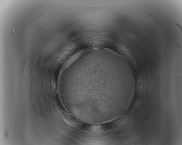 X0000103240173200809041055