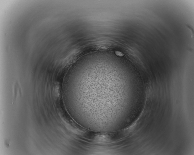 X0000103240174200809041055