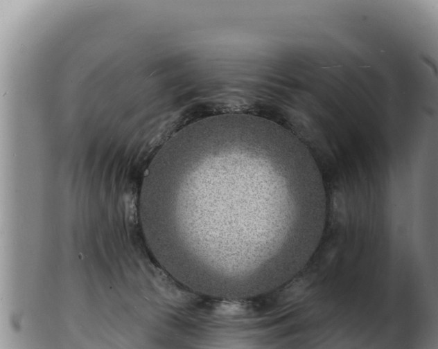 X0000103240177200809041055