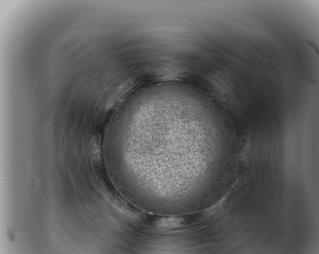 X0000103240179200809041055