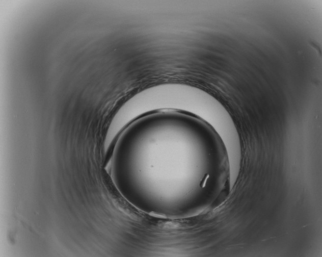 X0000103240180200809041055