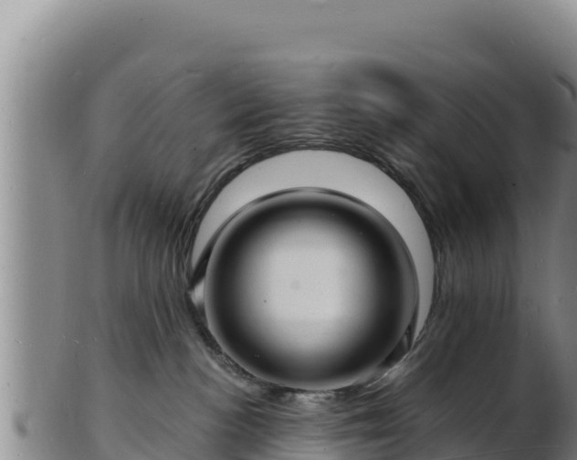 X0000103240188200809041055