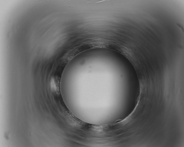 X0000103240190200809041055