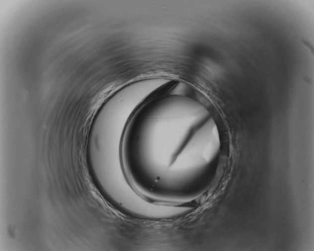 X0000103240193200809041054