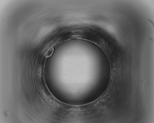 X0000103240194200809041054